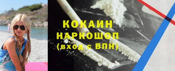 прущий лед Алзамай