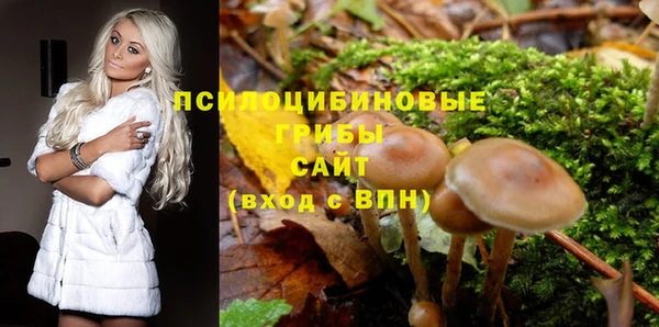 дживик Алексеевка