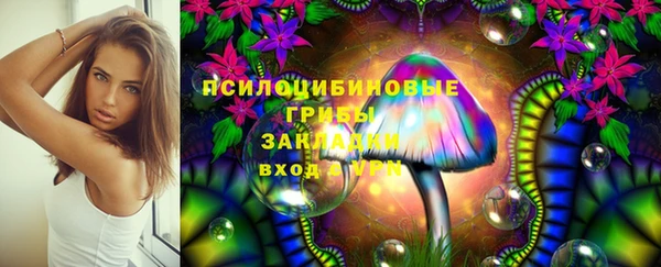 прущий лед Алзамай