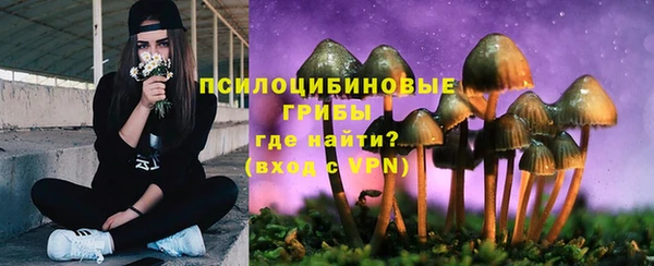 дживик Алексеевка