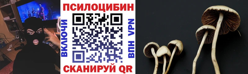 купить наркоту  Могоча  mega зеркало  Галлюциногенные грибы Psilocybine cubensis 
